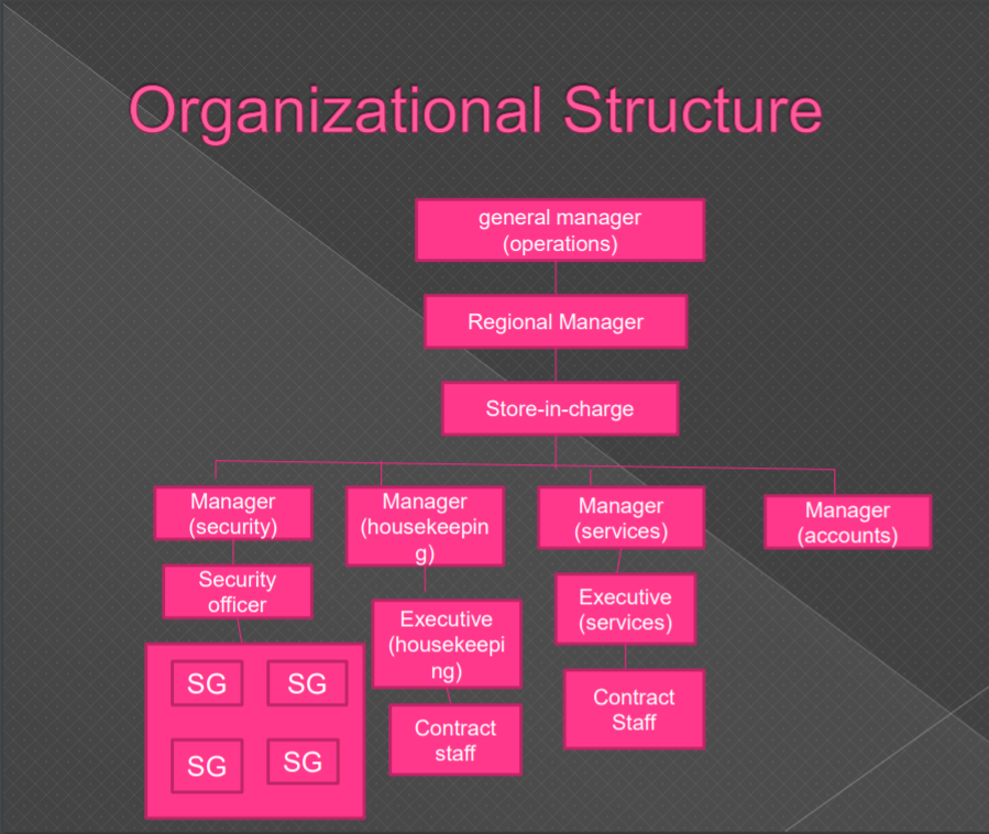 Describe the above Organizational Structure chart.