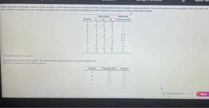 SUDITIR TOLI 11 3 Kale Carpet and The letals