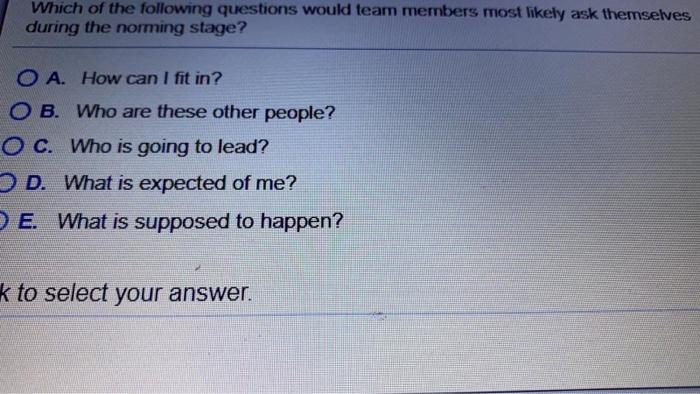 Which of the following questions would team