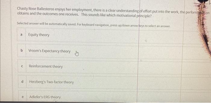 answer all pls Jackson Pollack Art Studio does