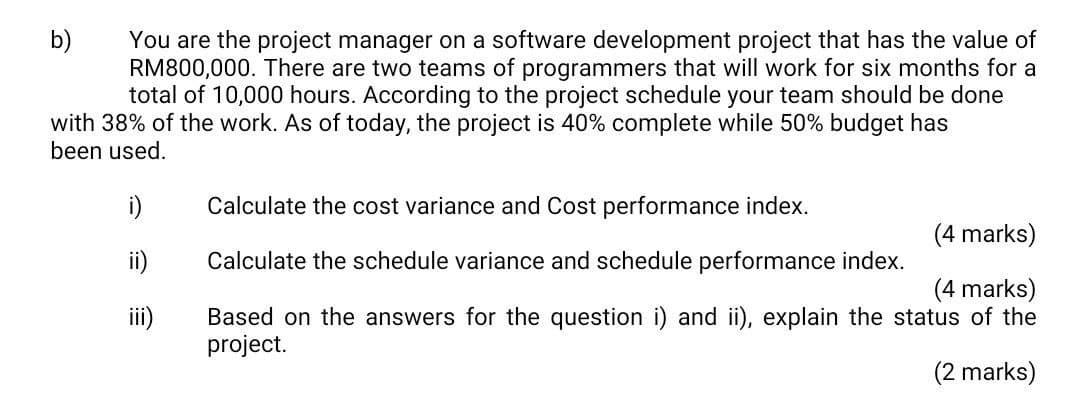 b) You are the project manager on a software