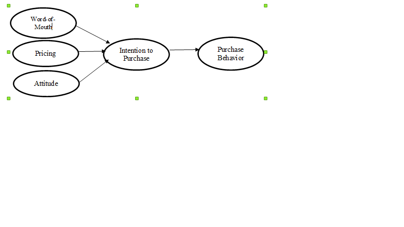 Refer the given conceptual framework. Develop an