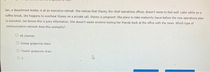 Jan, a department leader, is at an executive