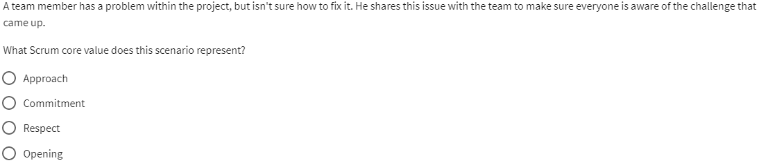 A team member has a problem within the project,
