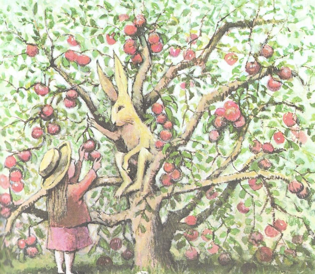 Please read the story to answer the following