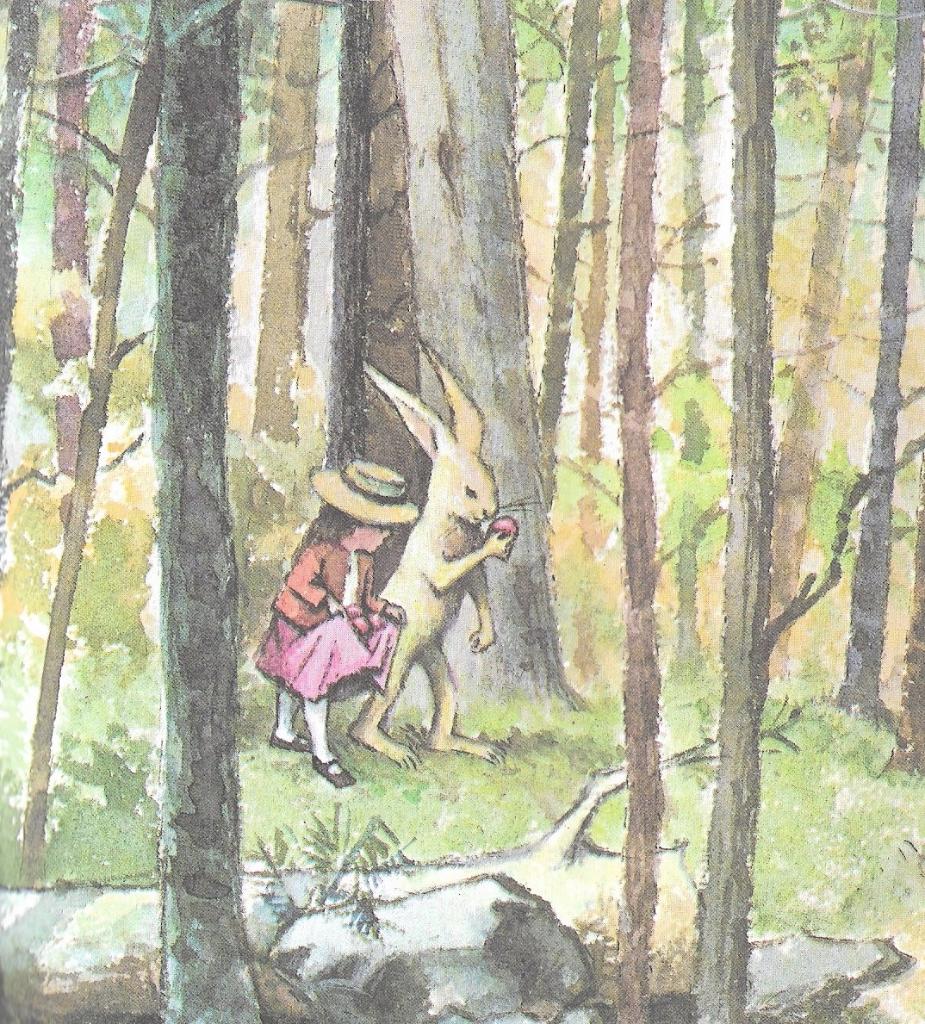 Please read the story to answer the following