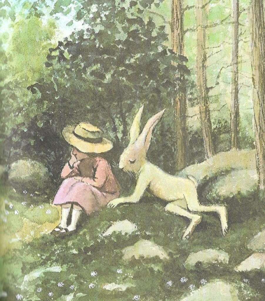 Please read the story to answer the following