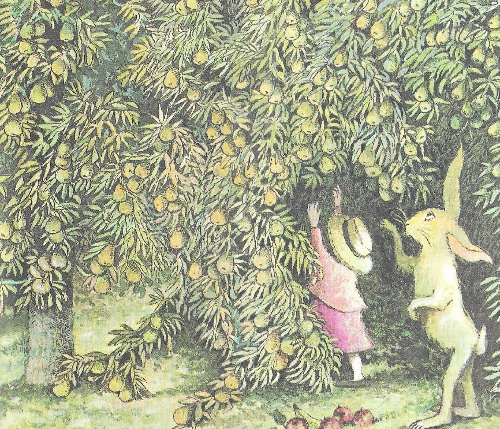 Please read the story to answer the following