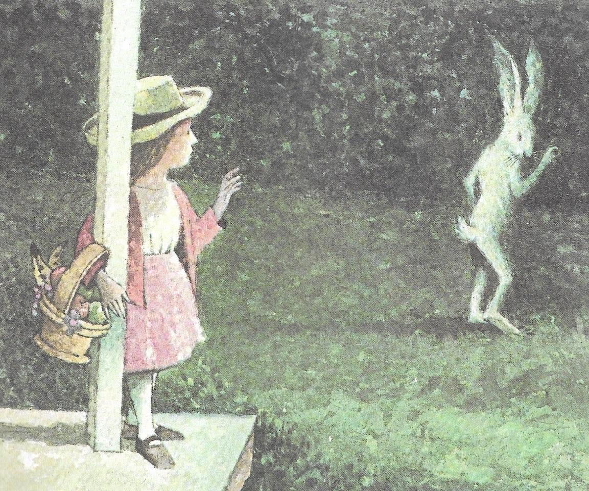 Please read the story to answer the following