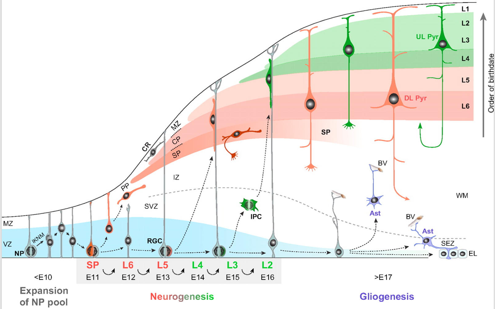 can you please answer these question base on the