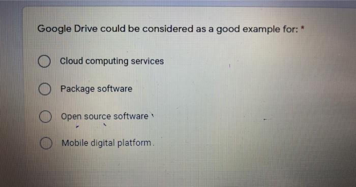 Google Drive could be considered as a good