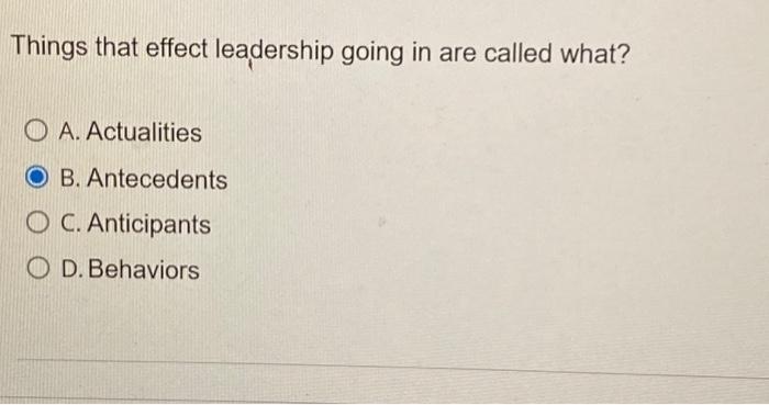 quick answer please Things that effect leadership