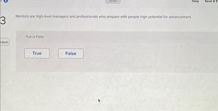 solve Mentors are high-level managers and