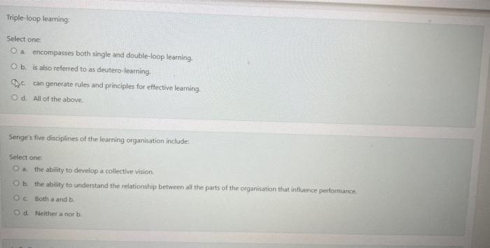 Triple-loop learning: Select one a. encompasses