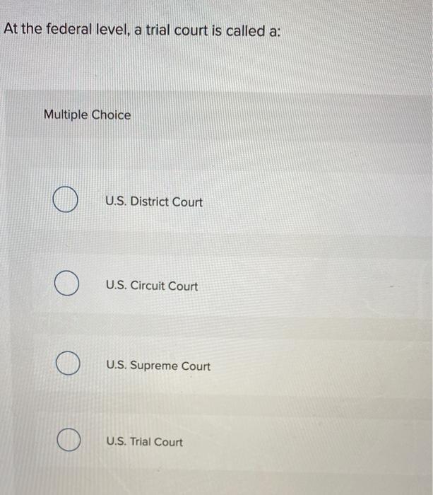At the federal level, a trial court is called a: