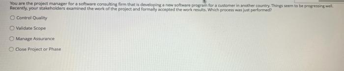 You are the project manager for a software