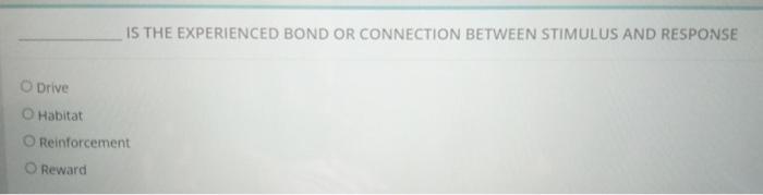 IS THE EXPERIENCED BOND OR CONNECTION BETWEEN