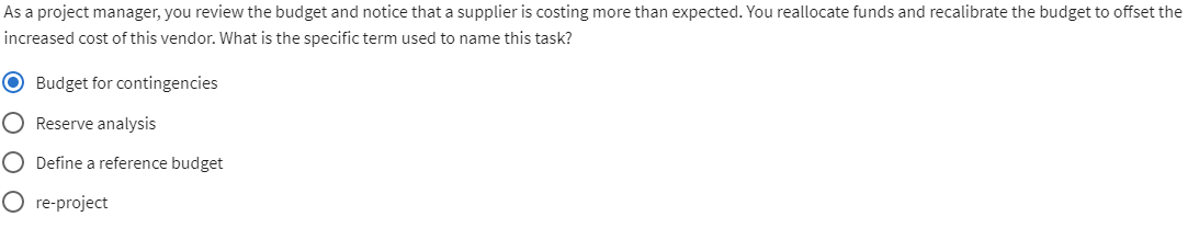 As a project manager, you review the budget and