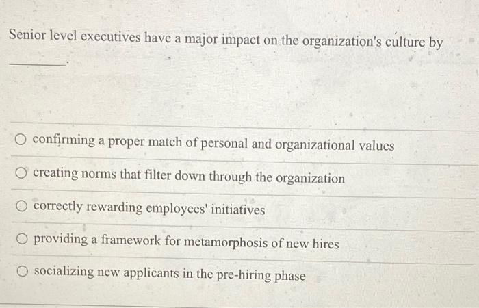 Senior level executives have a major impact on