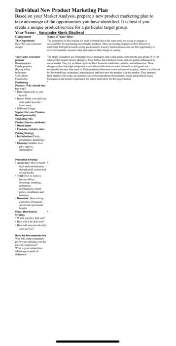 Individual New Product Marketing Plan Based on