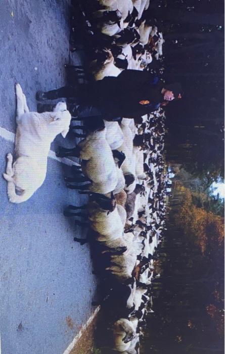 what does this image convey what would you say is