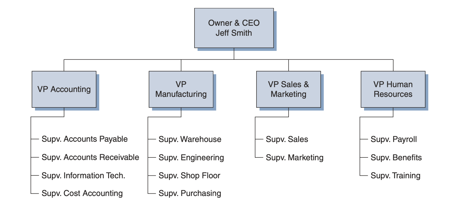 Background: Mike, a newly hired IT project