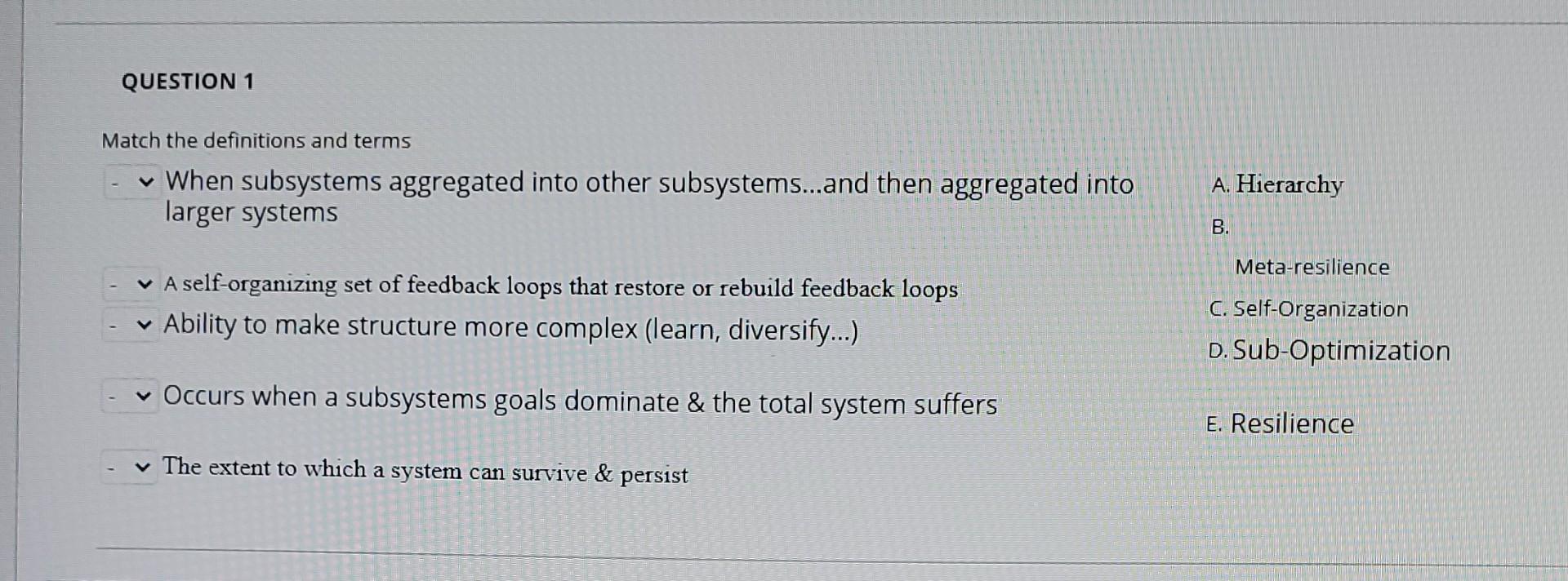 Match the definitions and terms When subsystems
