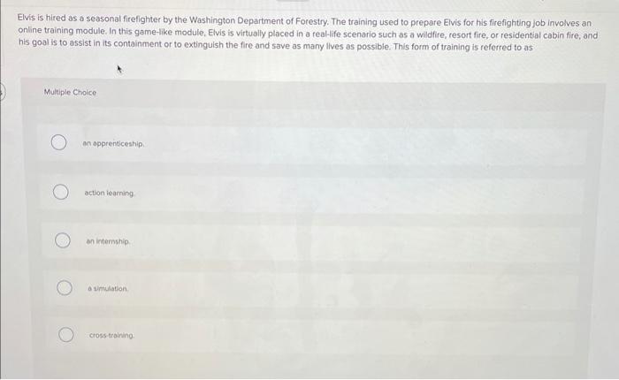 Elvis is hired as a seasonal firefighter by the