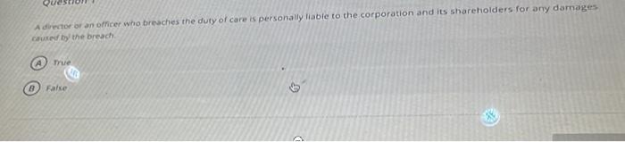 A diector on an offirer who brecties the duty of