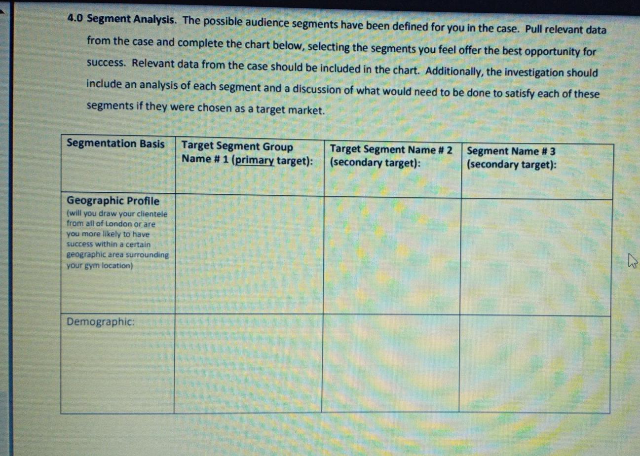 4.0 Segment Analysis. The possible audience