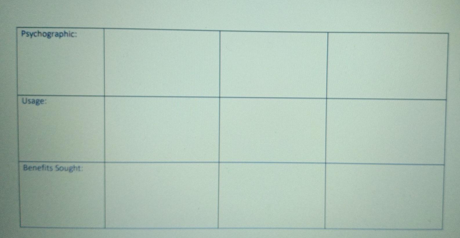 4.0 Segment Analysis. The possible audience