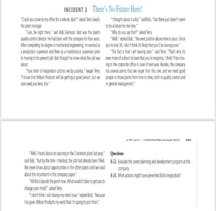 INCIDENT 2 There's No Future Here! 