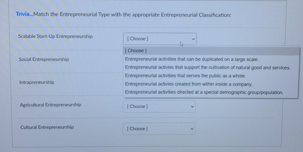 Trivia...Match the Entrepreneurial Type with the