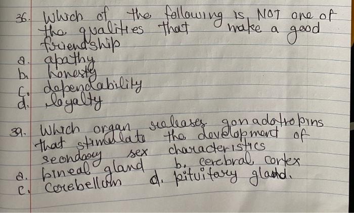 SS same sex couples d, The common What madogal