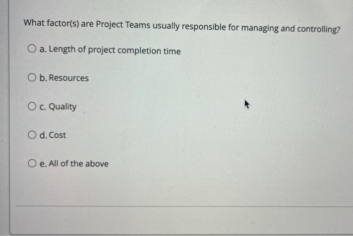 What factor(s) are Project Teams usually