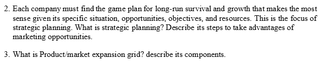 2. Each company must find the game plan for