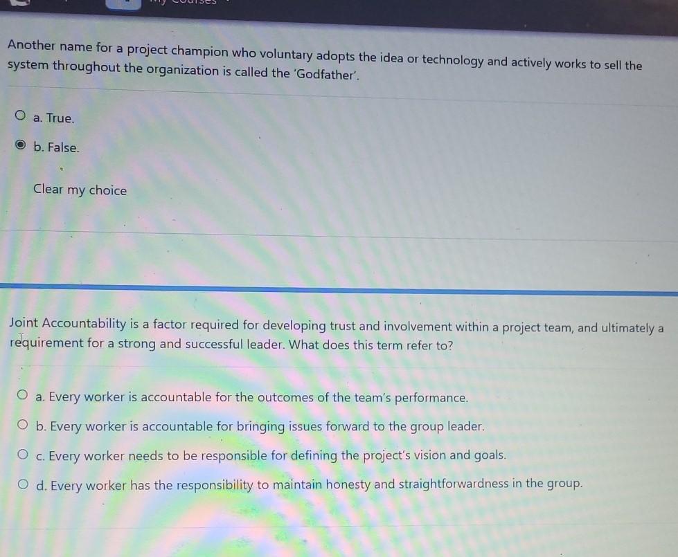 Another name for a project champion who voluntary