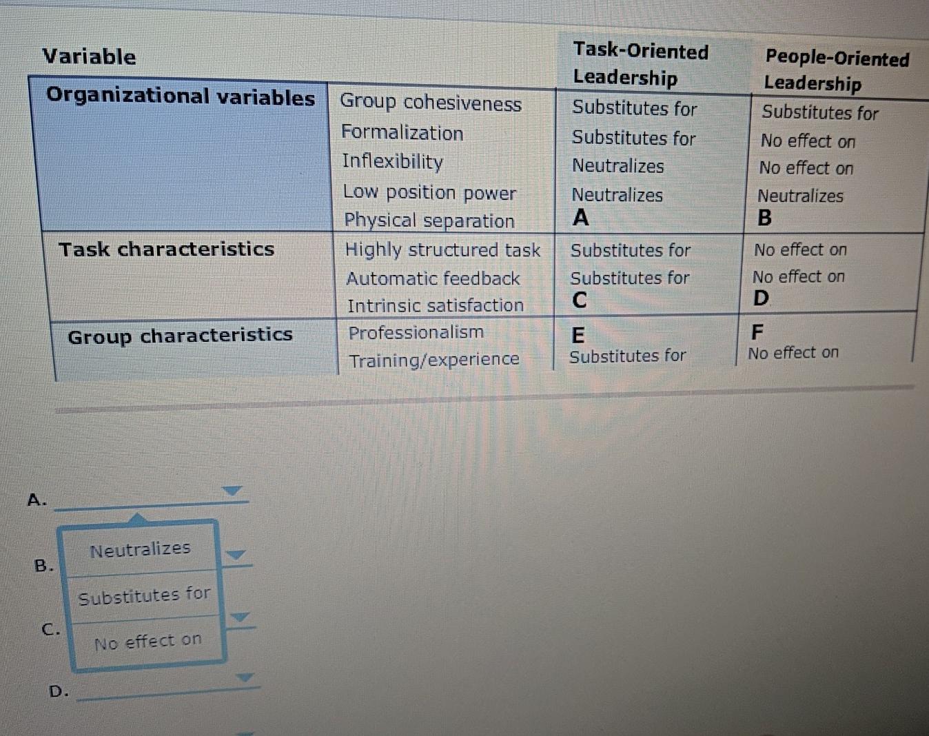 Variable Task-Oriented Leadership Substitutes for