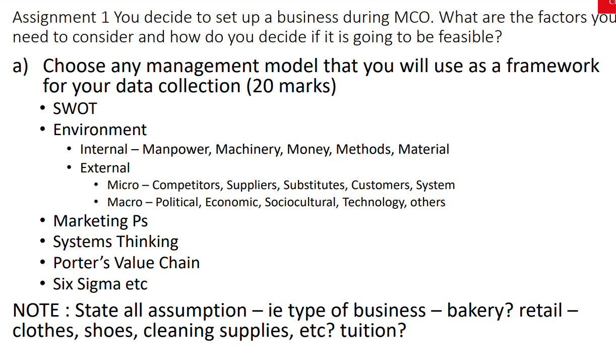 Assignment 1 You decide to set up a business