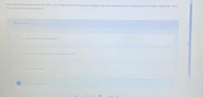 Tein the chief human resources officer for a