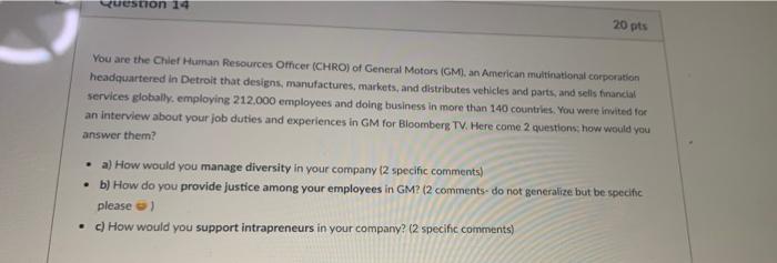 Suestion 14 20 pts You are the Chief Human