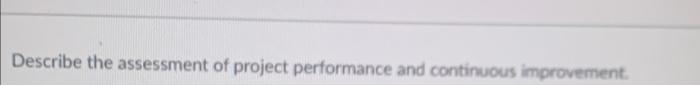 Describe the assessment of project performance