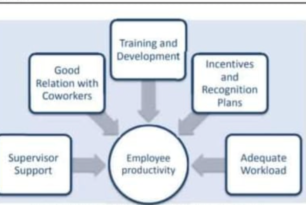 The topic are the Impact of Training &