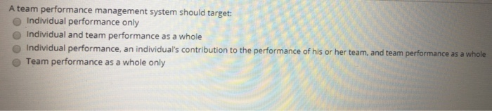 A team performance management system should