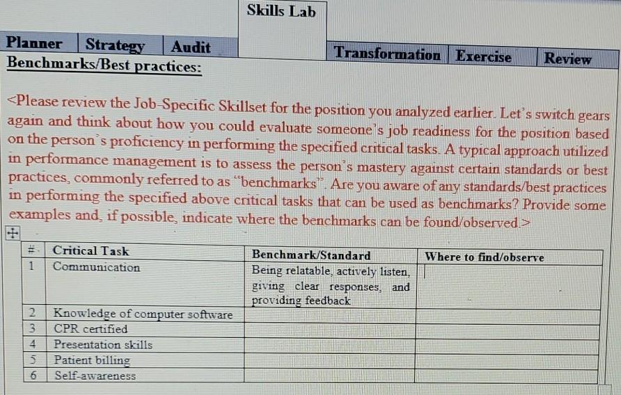 Skills Lab Planner Strategy Audit Benchmarks/Best