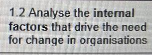 1.2 Analyse the internal factors that drive the