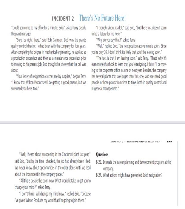 INCIDENT 2 There's No Future Here! 