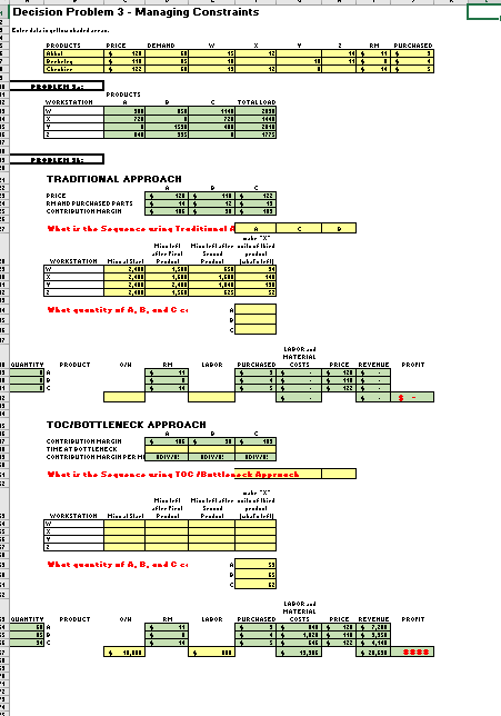 Decision Problem 3 - Managing Constraints Euler