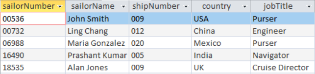 Write an SQL statement that returns the Sailor