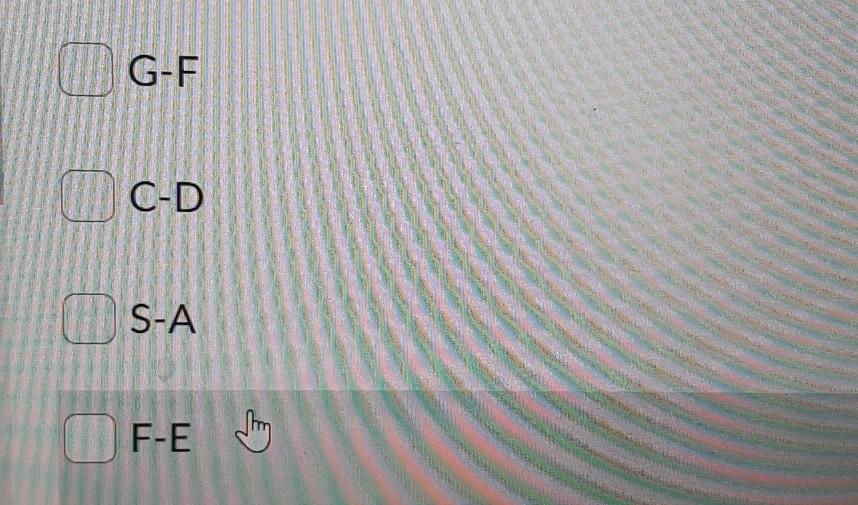 Looking at the project network below, which